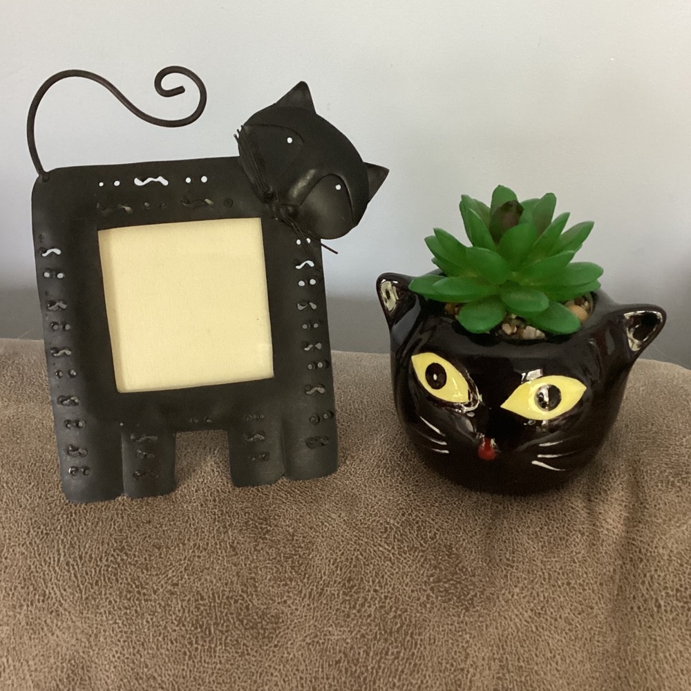 Black cat planter and frame